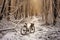 abandoned bicycle surrounded by animal tracks in the snow