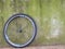 An Abandoned Bicycle Tire Leaning Against a Stained Mossy Concrete Wall