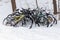 Abandoned bicycles covered with snow, parked near trees in winter season