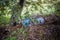 Abandoned blue bicycle with child seat next to a tree