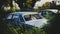 Abandoned blue cars in the grass in Cyprus