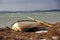 An abandoned boat has been dragged on to the beach on a windy day in Lomma, Sweden