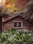 Abandoned boat shed againts the background of Sherbrooke forest