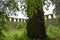 abandoned boundary wall of church at vasai, india