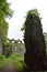 abandoned boundary wall of church at vasai, india