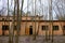 Abandoned brick buildings among trees in the Chernobyl radiation contamination zone