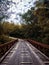 abandoned bridge in an abandoned community