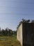 Abandoned Building with Nature style and minimalism with a Bluesky