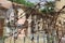 Abandoned buildings stand behind rusting barbed wire in the buffer zone between the Greek and Turkish sides of Nicosia