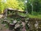 Abandoned bunkers and green forest