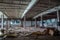Abandoned butchery in meat processing plant.