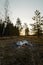 Abandoned camping bonfire at a sunset in a forest