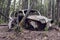 Abandoned Car in a Birch Forest