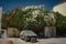 An abandoned car in Nouakchott, Mauretania