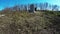 Abandoned cemetery spring