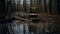 Abandoned Chair In Swamp: A Dark And Brooding Designer\\\'s Delight