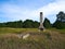 Abandoned chimney with house foundation ruins in a meadow.