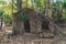 Abandoned colonial architecture covered with big tree roots at Ross island