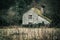 Abandoned cottage in a muted winter landscape