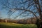 Abandoned countryside farm in the afternoon