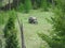 Abandoned covered wagon preserved in time, Kalispell. MT