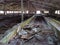 Abandoned cowshed on a farm in a village