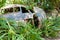 Abandoned crashed plane in Kuranda, Queensland