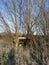 Abandoned David Brown Tractor