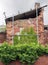 abandoned derelict old house with crumbling brick walls propped up with scaffolding and overgrown with ivy