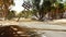 Abandoned desert highway. In the middle of the road are rusty abandoned cars, and on the roadside pile of rusty and