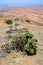 Abandoned Desert House Exterior