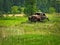 Abandoned deserted rusty old classic car in a farm field