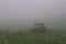 Abandoned destroyed car in a green field covered with fog - creates a creepy image