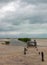 Abandoned Deteriorating Boat Dock Chachmuchuk Lagoon in Isla Blanca Cancun Mexico