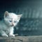 Abandoned dirty sad kitten on the street with copy space. Please adopt stray animals generative ai illustration