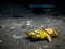 Abandoned doll on dirty floor