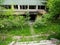 Abandoned factory entrance with vibrant young  green trees