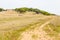 Abandoned farm house,cork trees and road in Santiago do Cacem