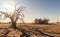 Abandoned farm house and dried trees in arid landscape, climate change concept. Generative AI realistic illustration