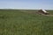 Abandoned Farm House Ghost Homestead Remains Agricultural Field