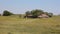 Abandoned farm on the meadow