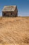 Abandoned Farmhouse