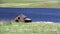 Abandoned Farmhouse Barn Kamloops British Columbia Landscape