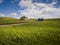 Abandoned Farmhouse in a Wheat Field.