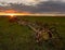 Abandoned farming equipment