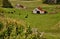 An Abandoned Farmstead us used for Grazing Cattle.