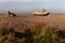 Abandoned fishing boat and rusty machinery