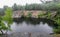 Abandoned flooded quarry in the forest. Lake in the forest. Geological outcrops