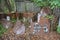 Abandoned fuel barrels of Ghost City of Pripyat exclusion Zone