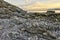 Abandoned Fur Seal Colony, New Zealand